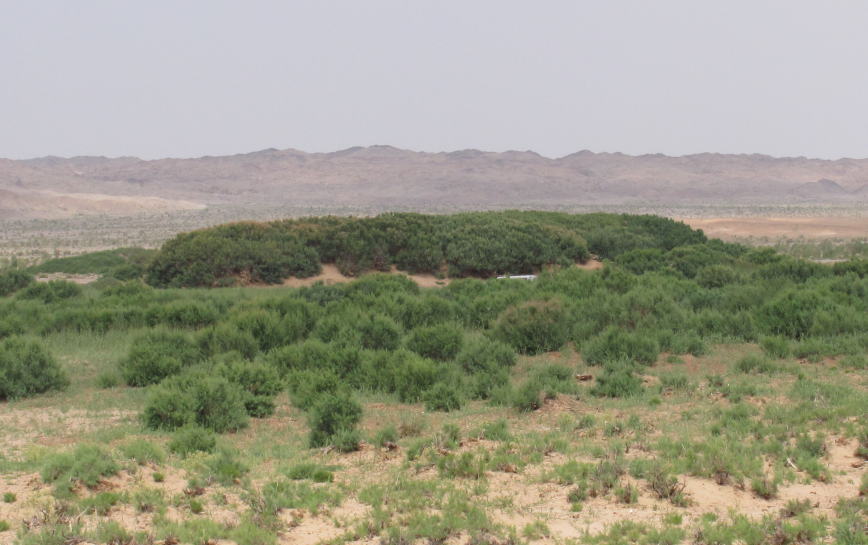 Le désert du Gobi
