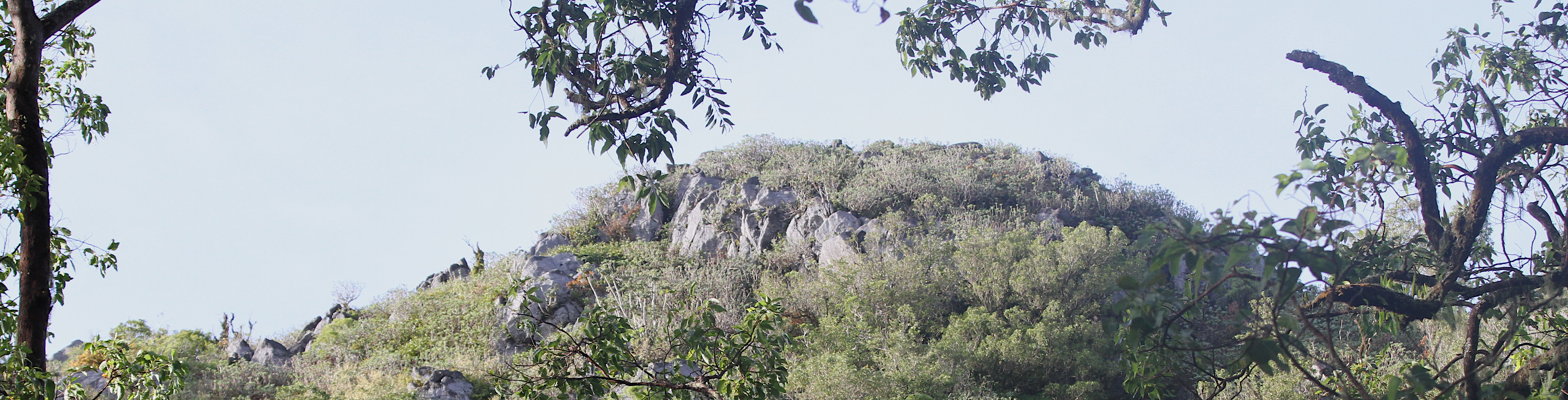 Mont Mutis