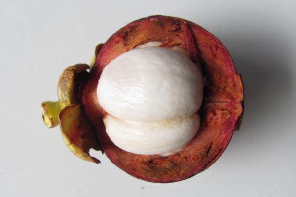 Gacinia mangostana