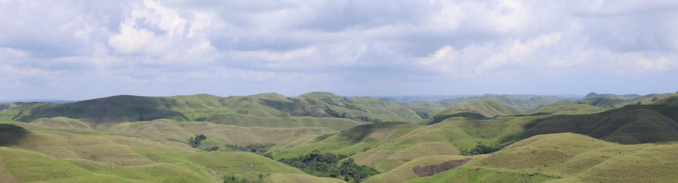 Savane de Sumba