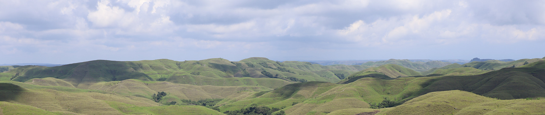Savane de Sumba