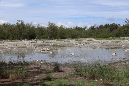 Image 2: Marais