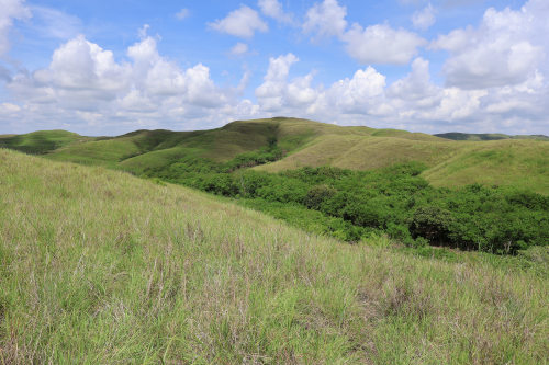 Image 1: Savane